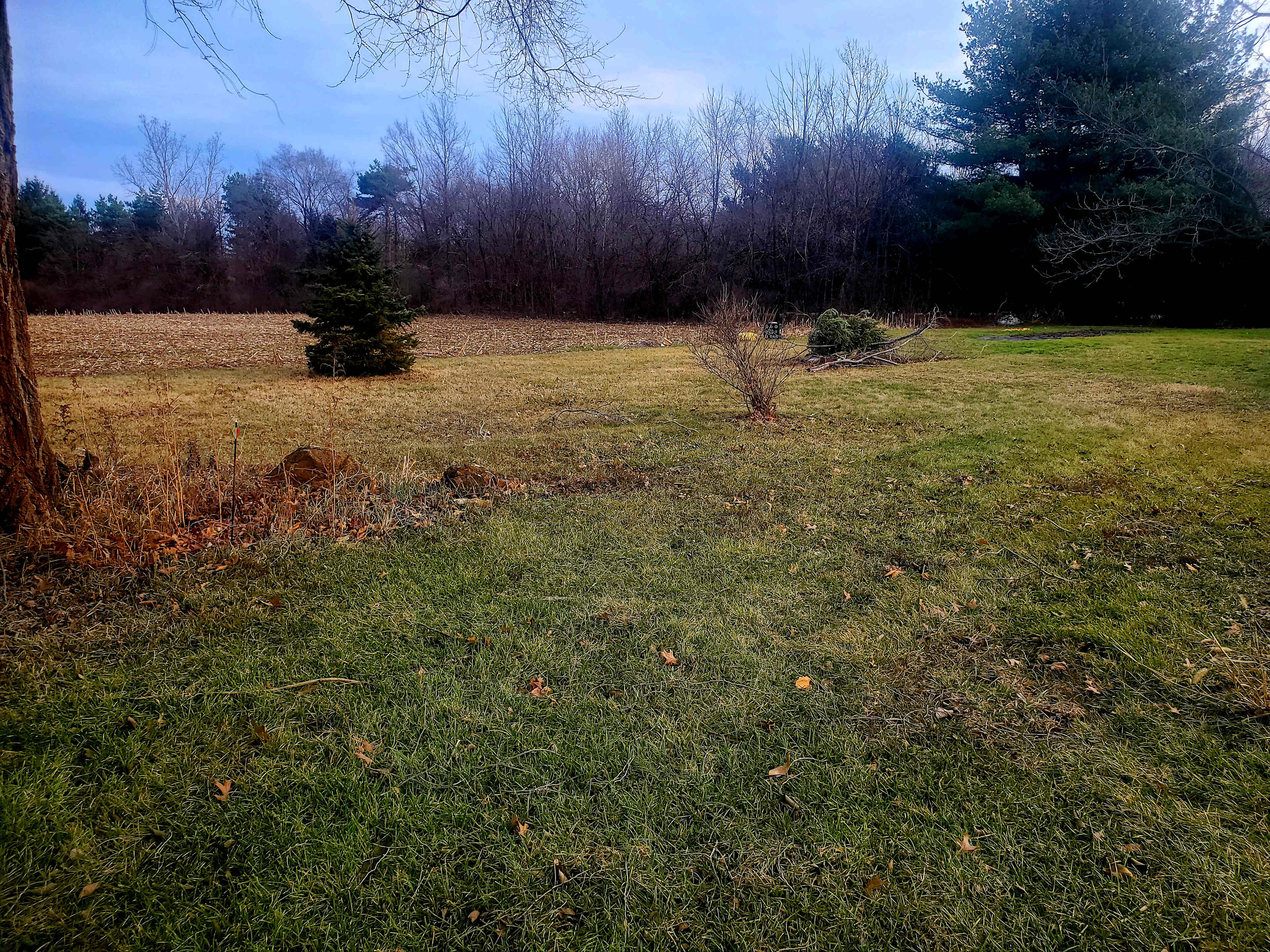 Again sorry for the dreary Winter view. Im building this page in Jan. 
All of this land is behind the pool and pines so its private from the house. 
