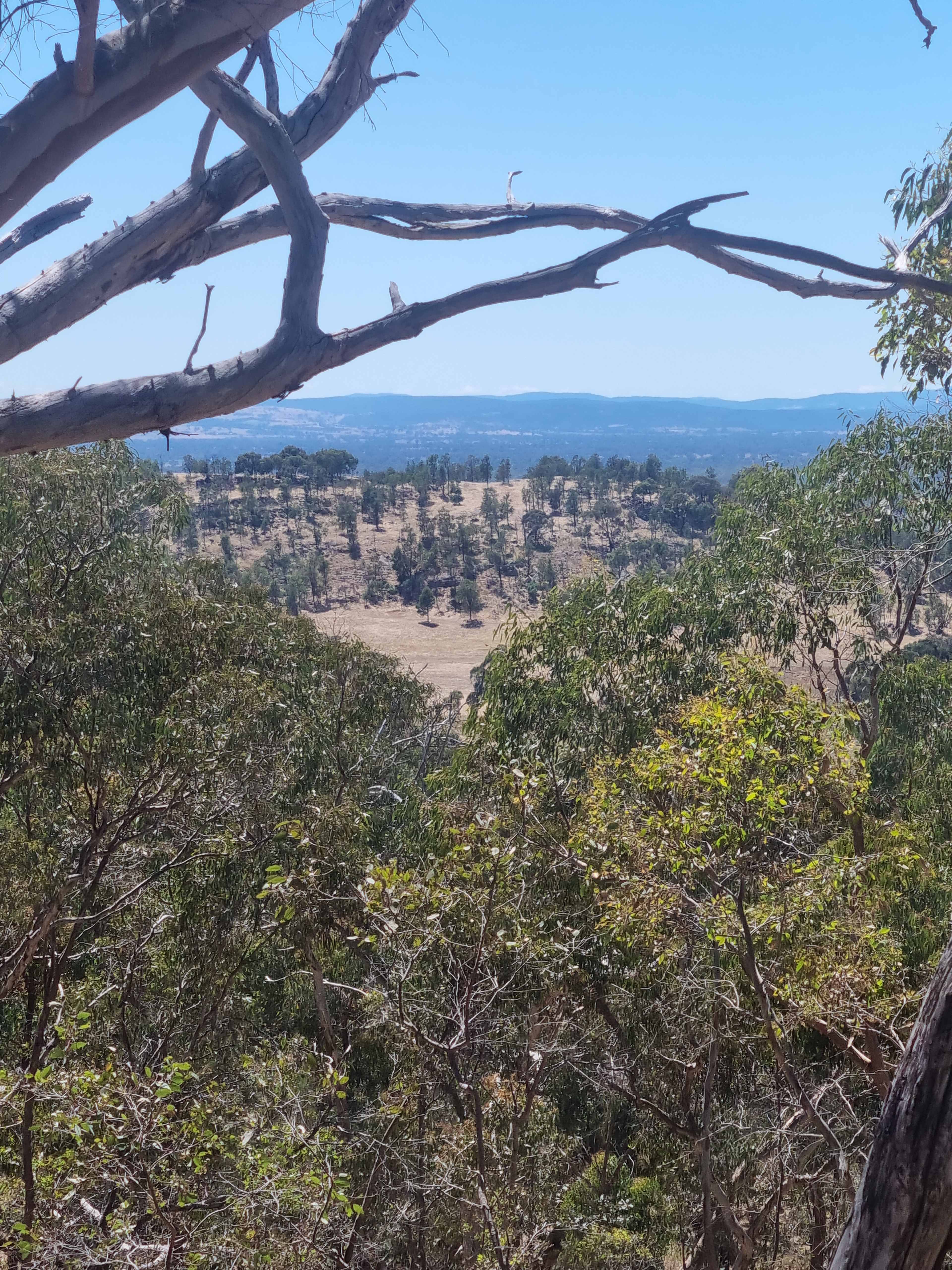 The view from your private camping site
