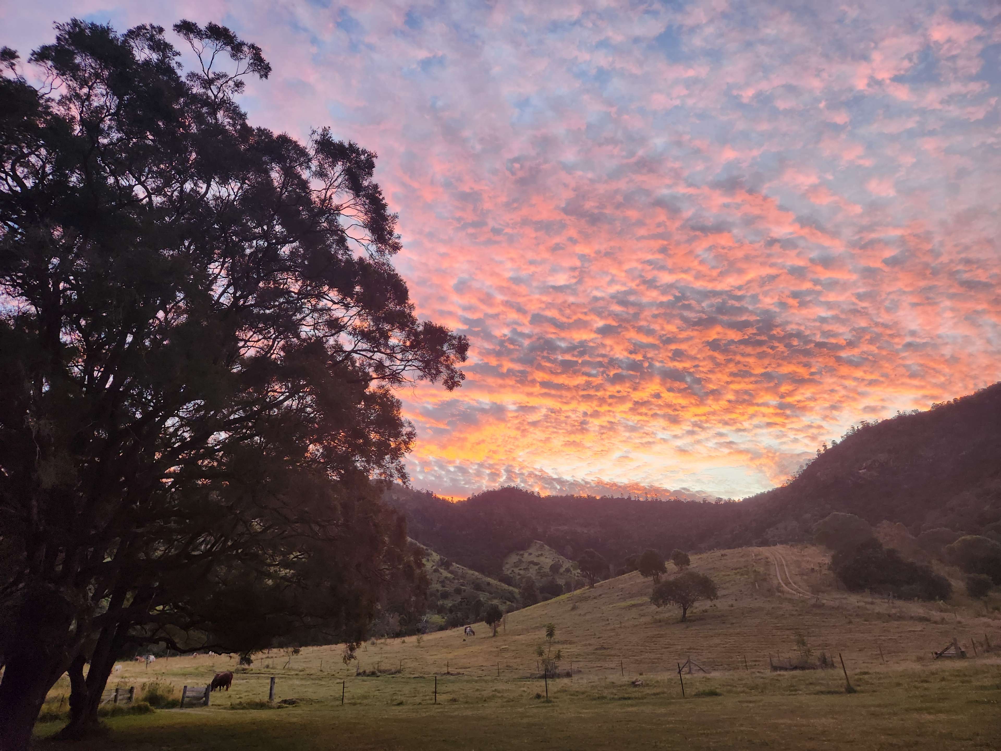 Hopevale Adventure Camping