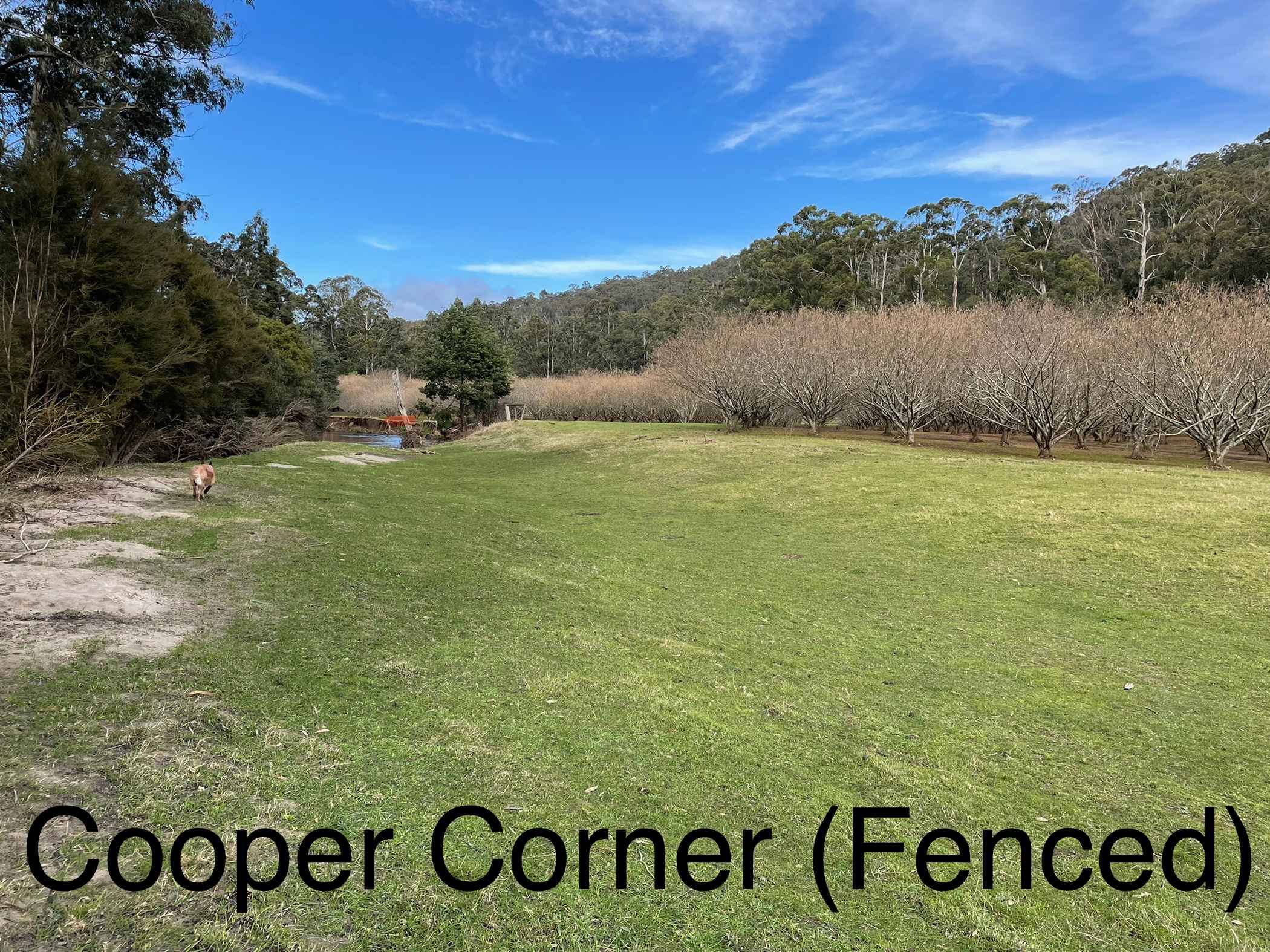 Hazelnut Valley Farm Stay