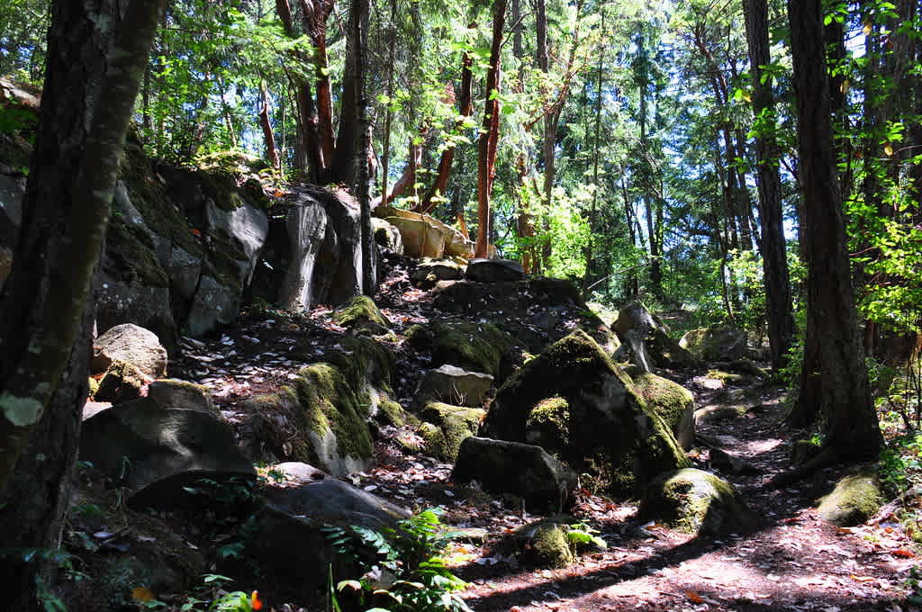 Petroglyph Provincial Park