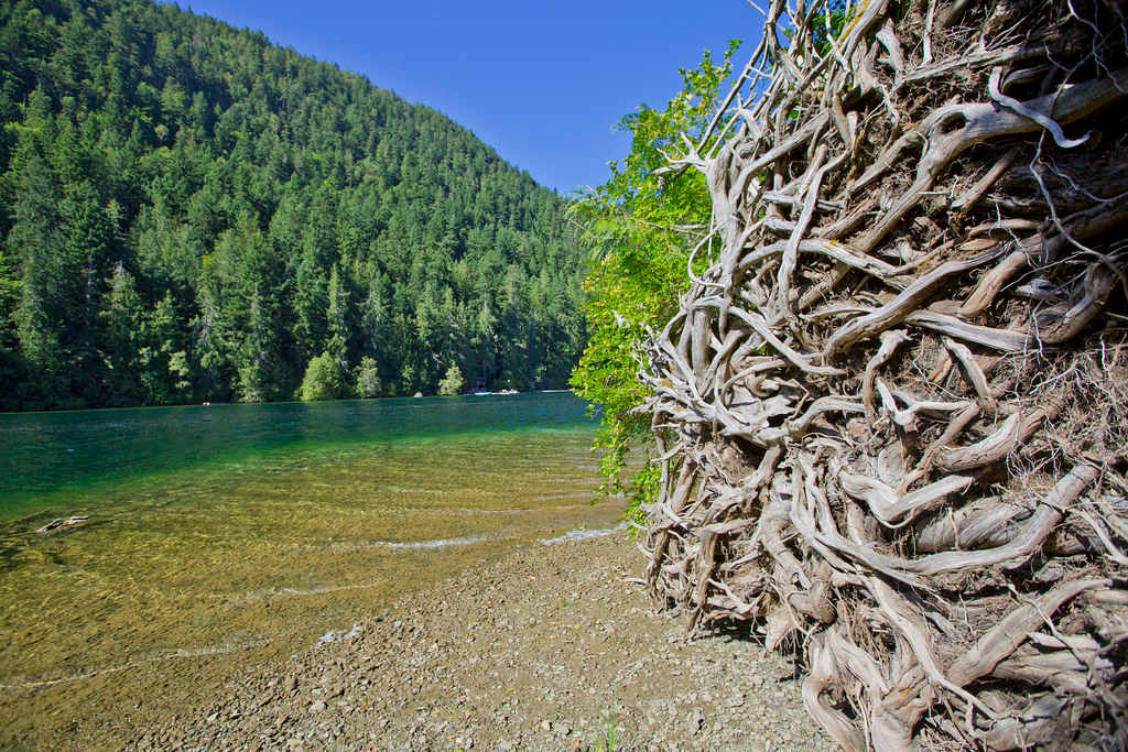 MacMillan Provincial Park