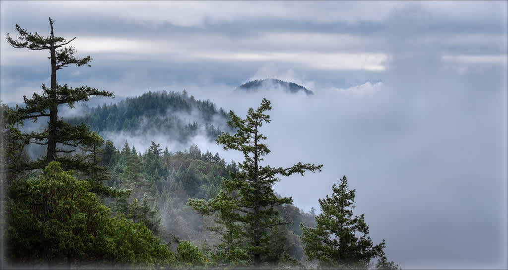 Gowlland Tod Provincial Park
