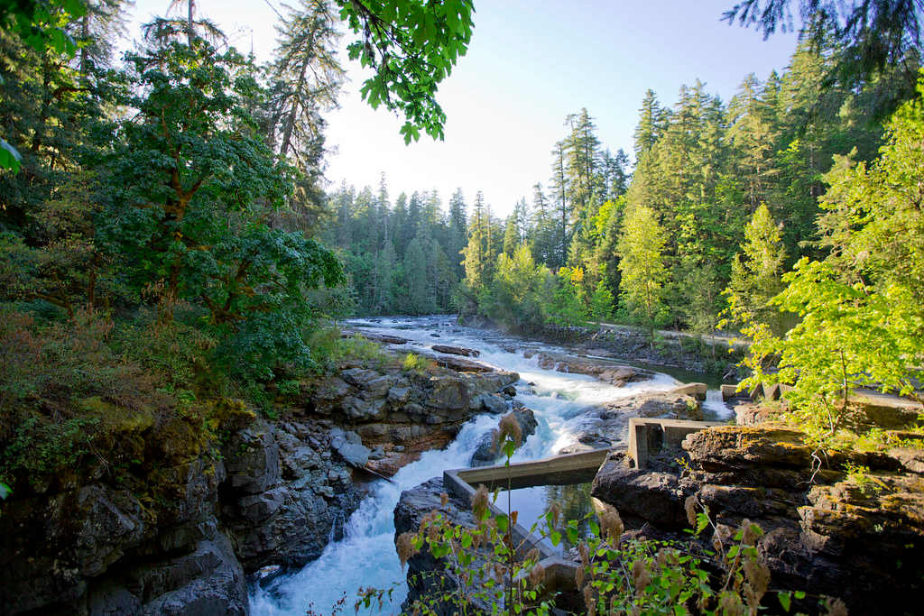 Stamp River Provincial Park