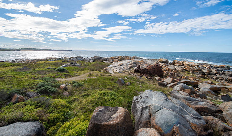 Shelly Beach