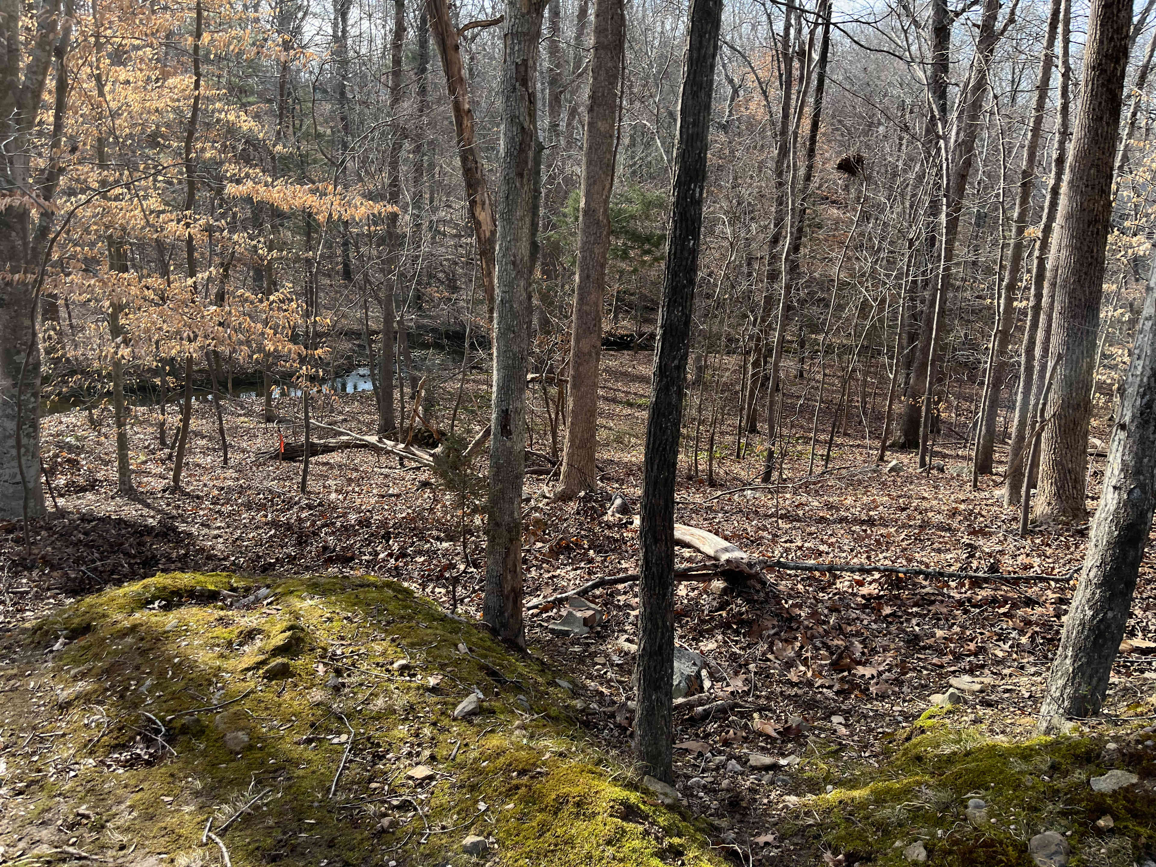 North Durham Creekside Campsite