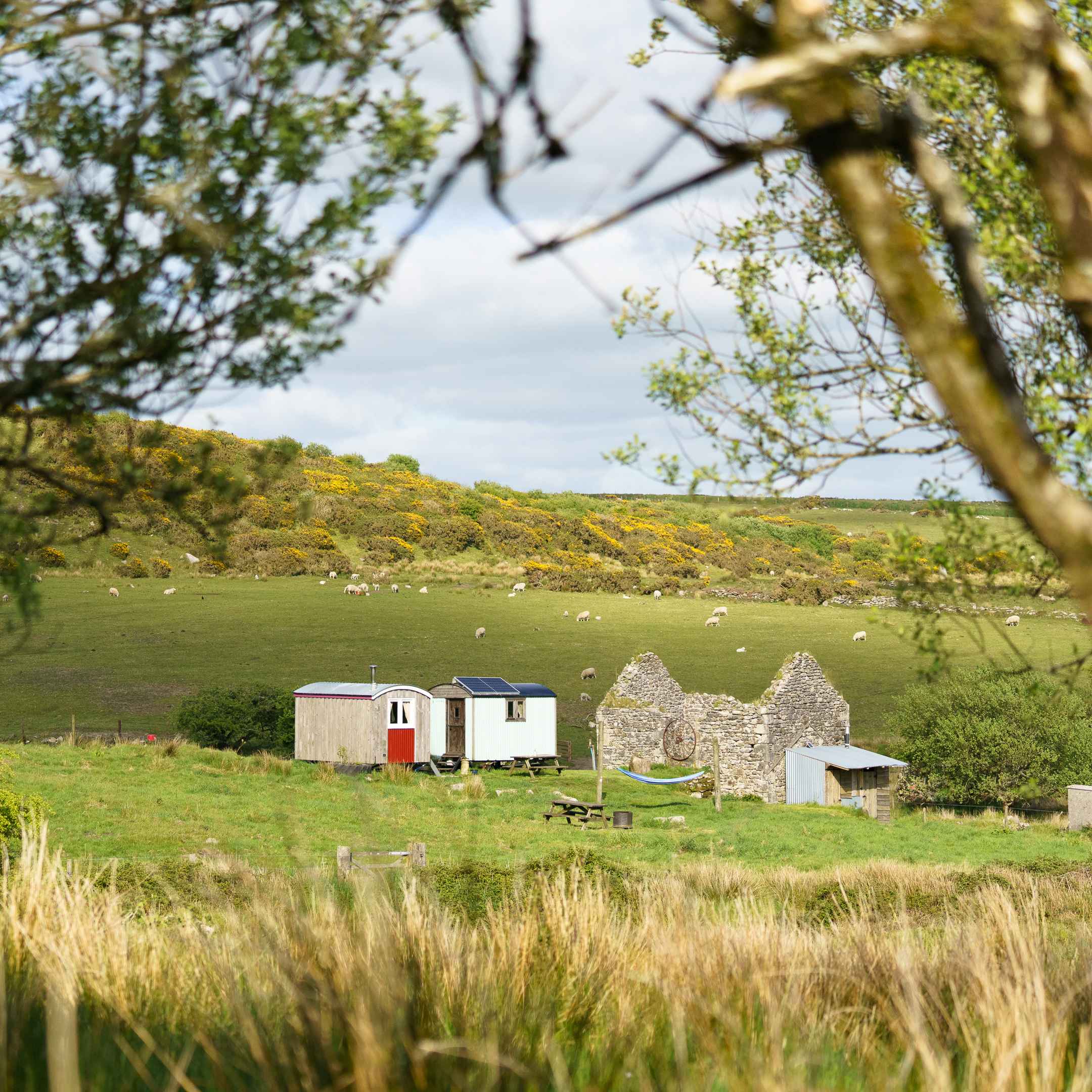 Diddylake Shepherd Huts