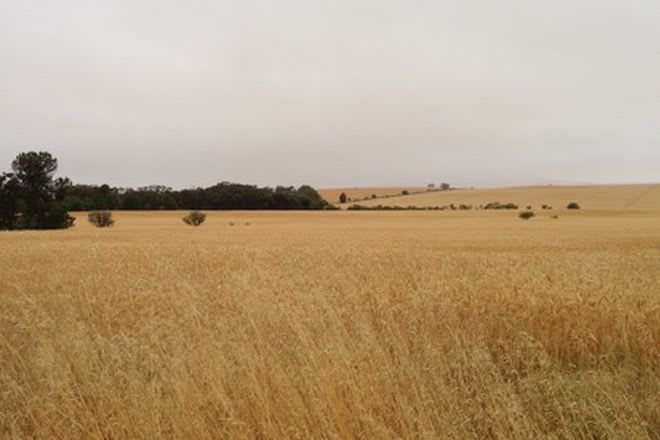 Huddleston Farm