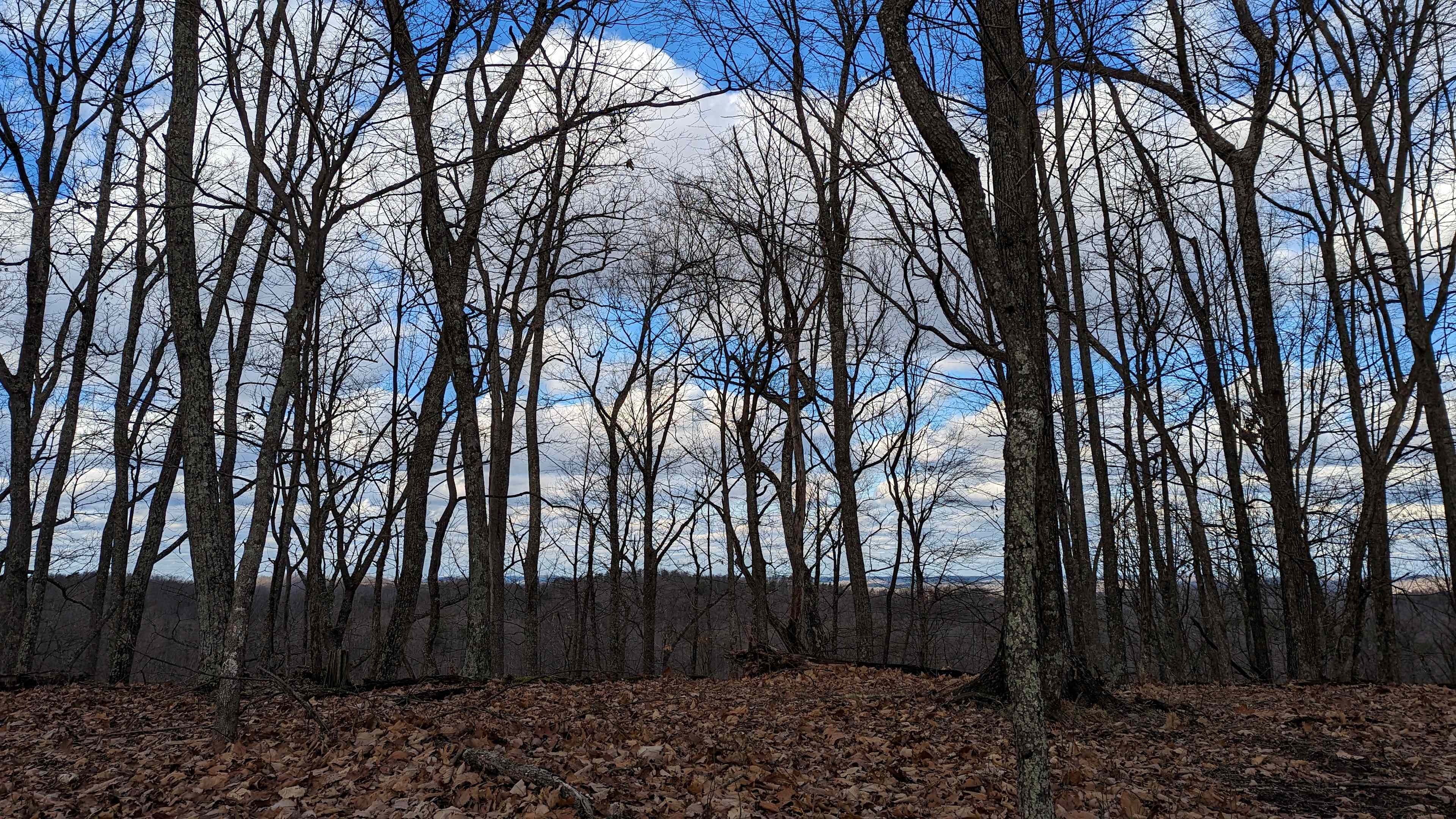 Emberheart Wilderness Retreats