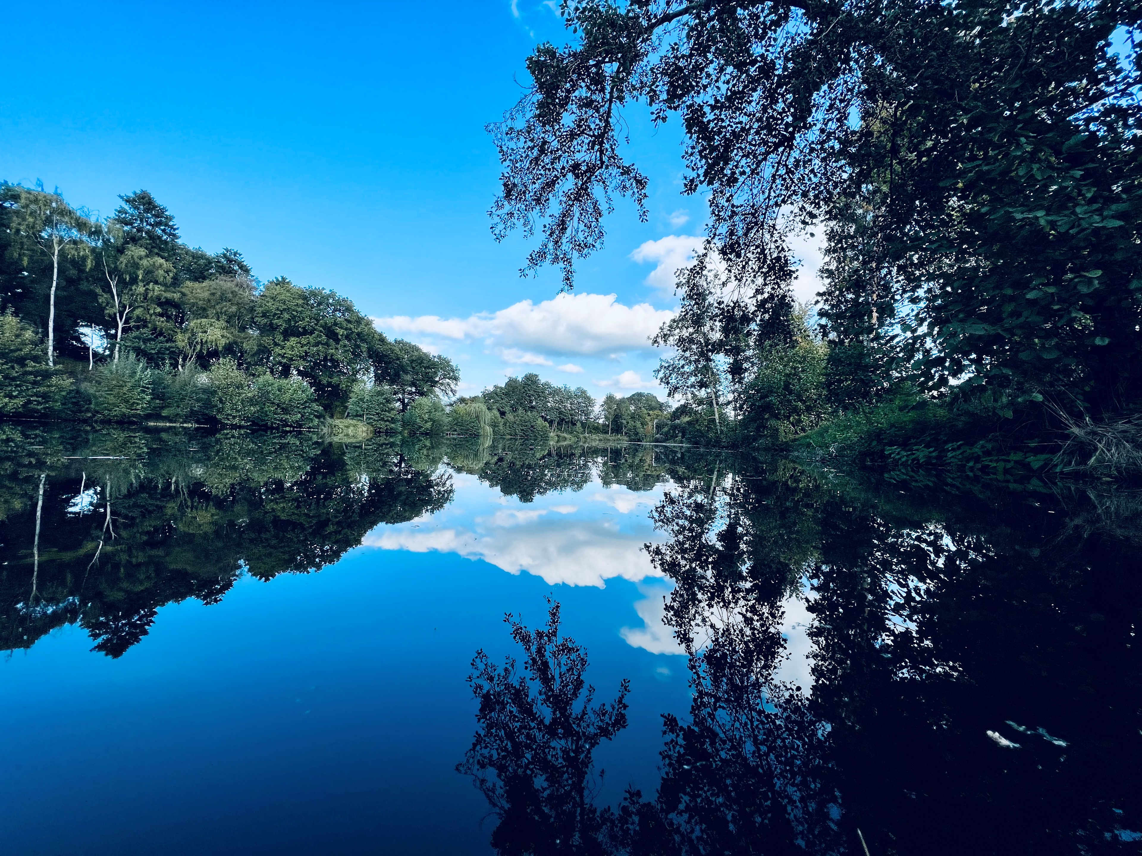 Colehurst Lake