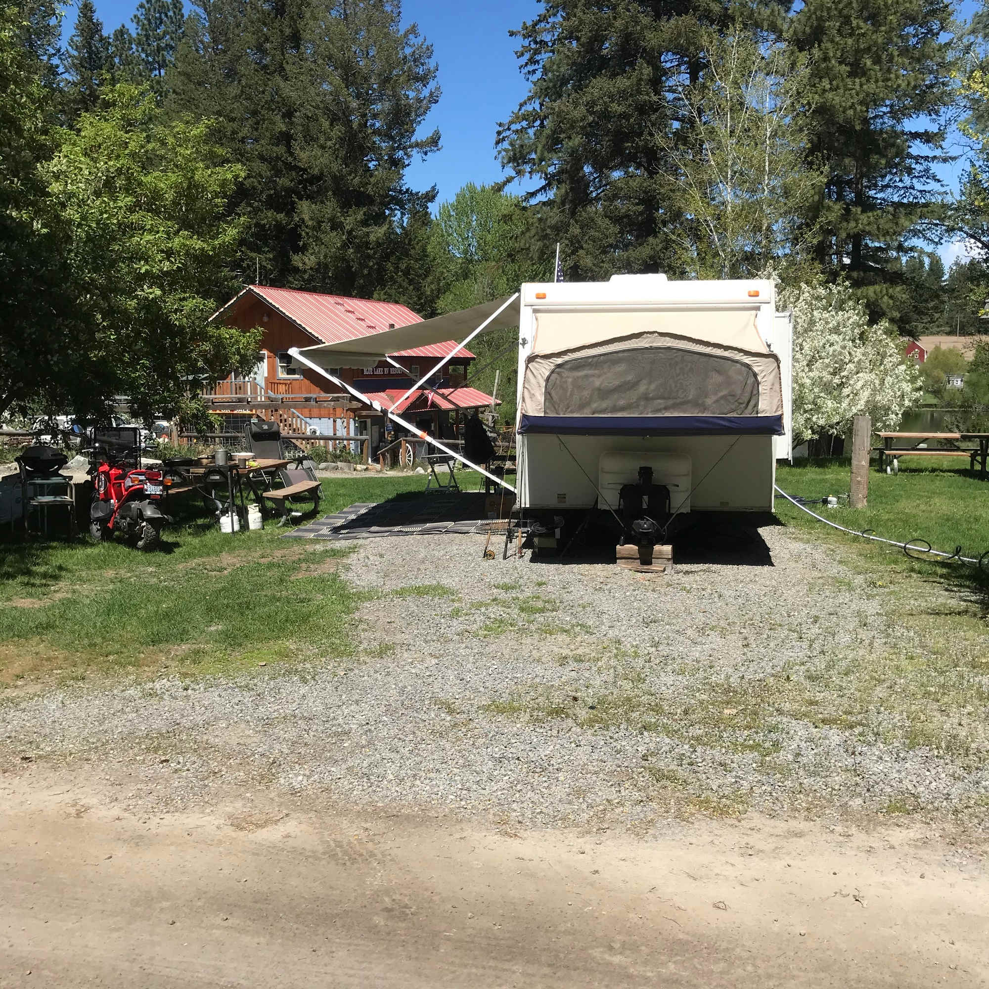 Picture of the site
