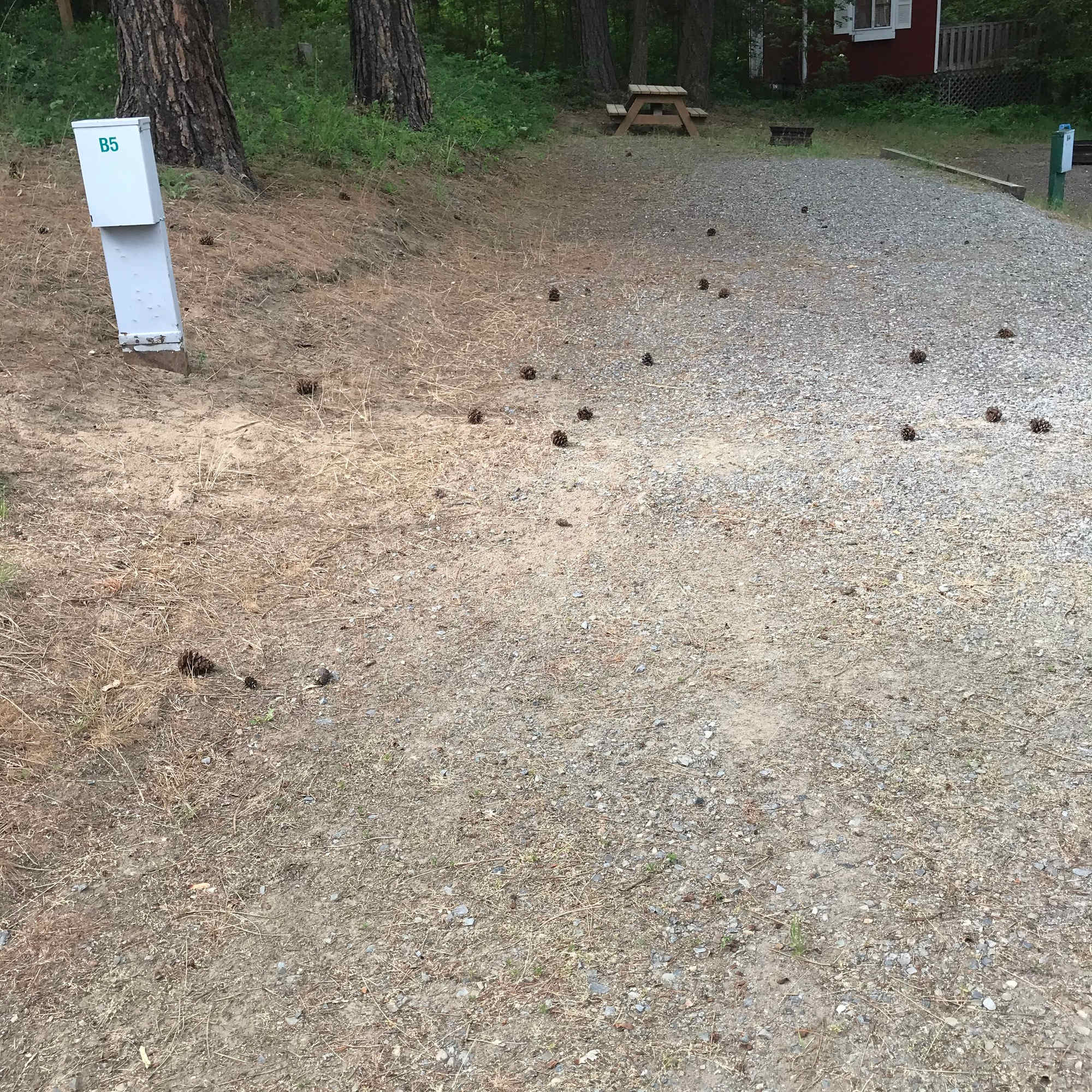 Picture of the site