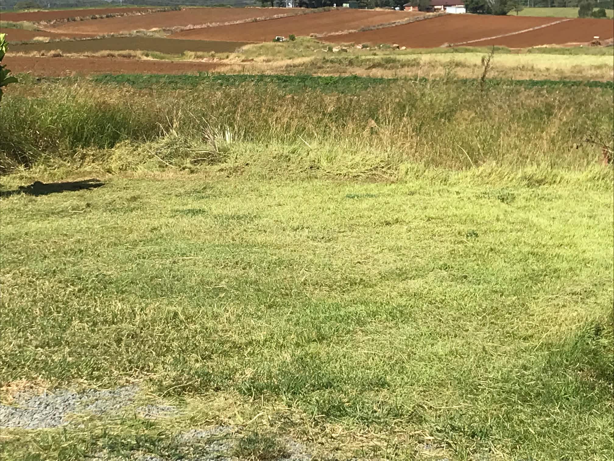 Coast Farm