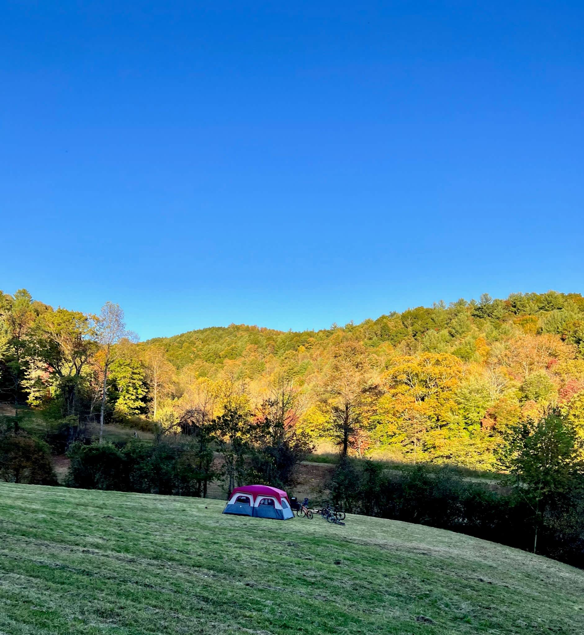 Blue Ridge Ranch