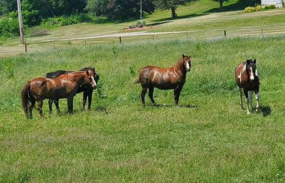 Hideaway Camper by the Cave 2.0