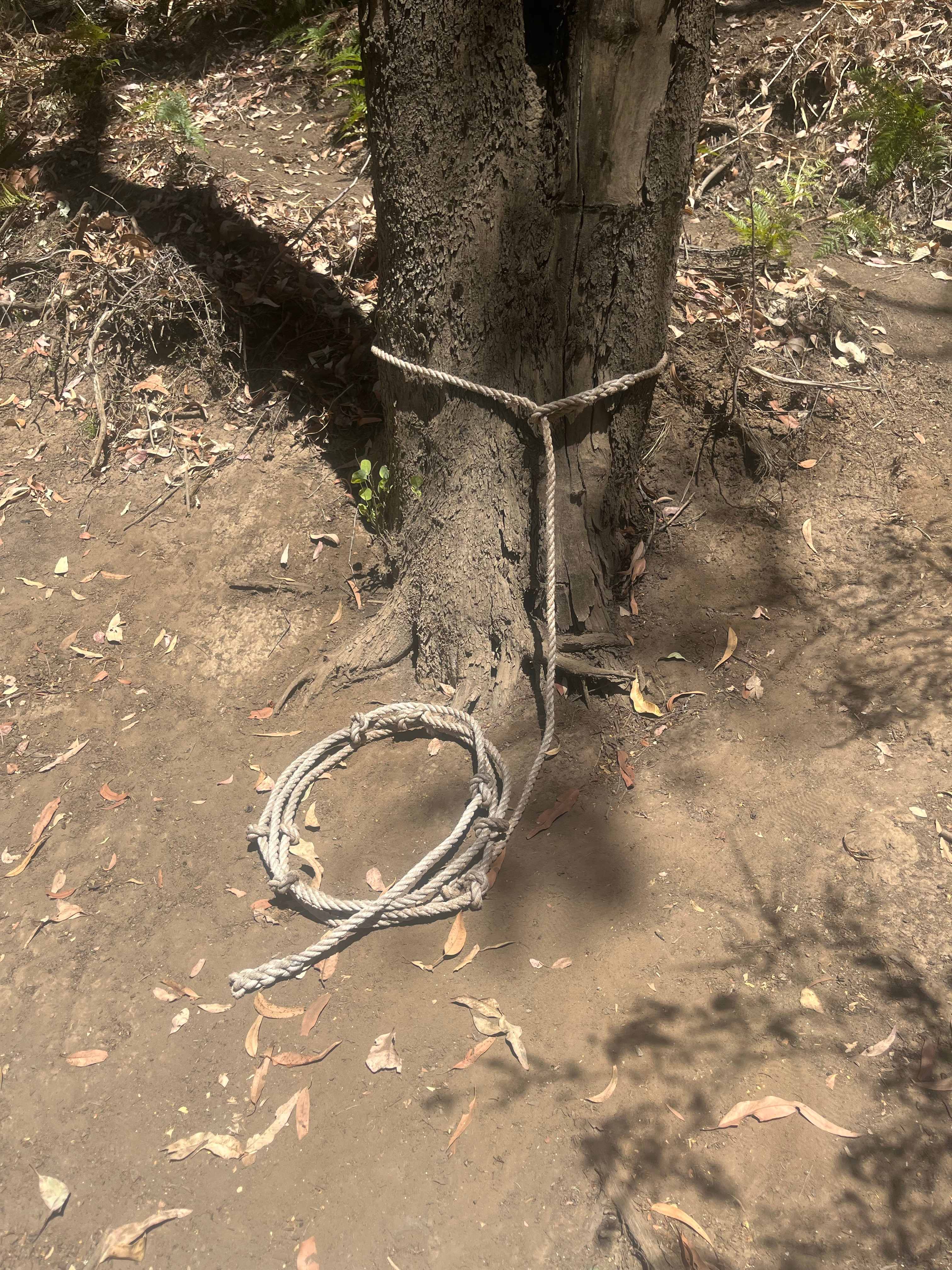 Helps getting out when the bank is wet, dont forget to chuck it in the water before you jump in. We suggest you have a look where the logs and branches are under water before you get in and the water gets muddied.