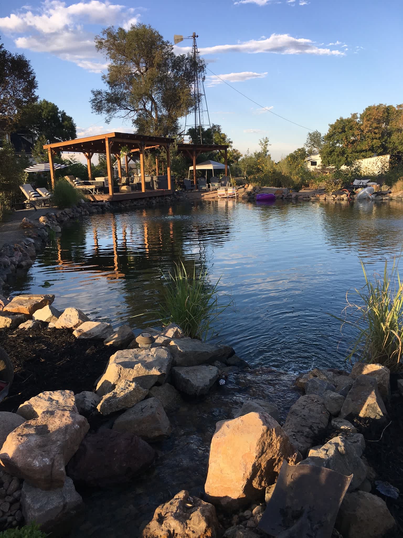 Red Daisy Farm