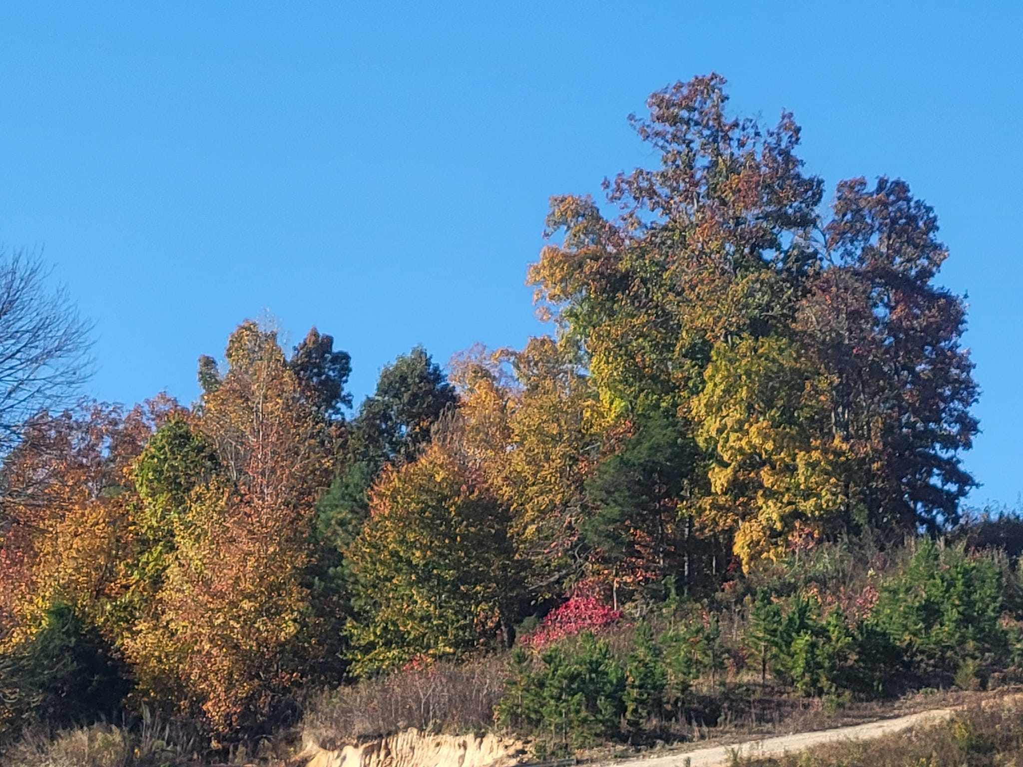 Bucks Ranch Retreat