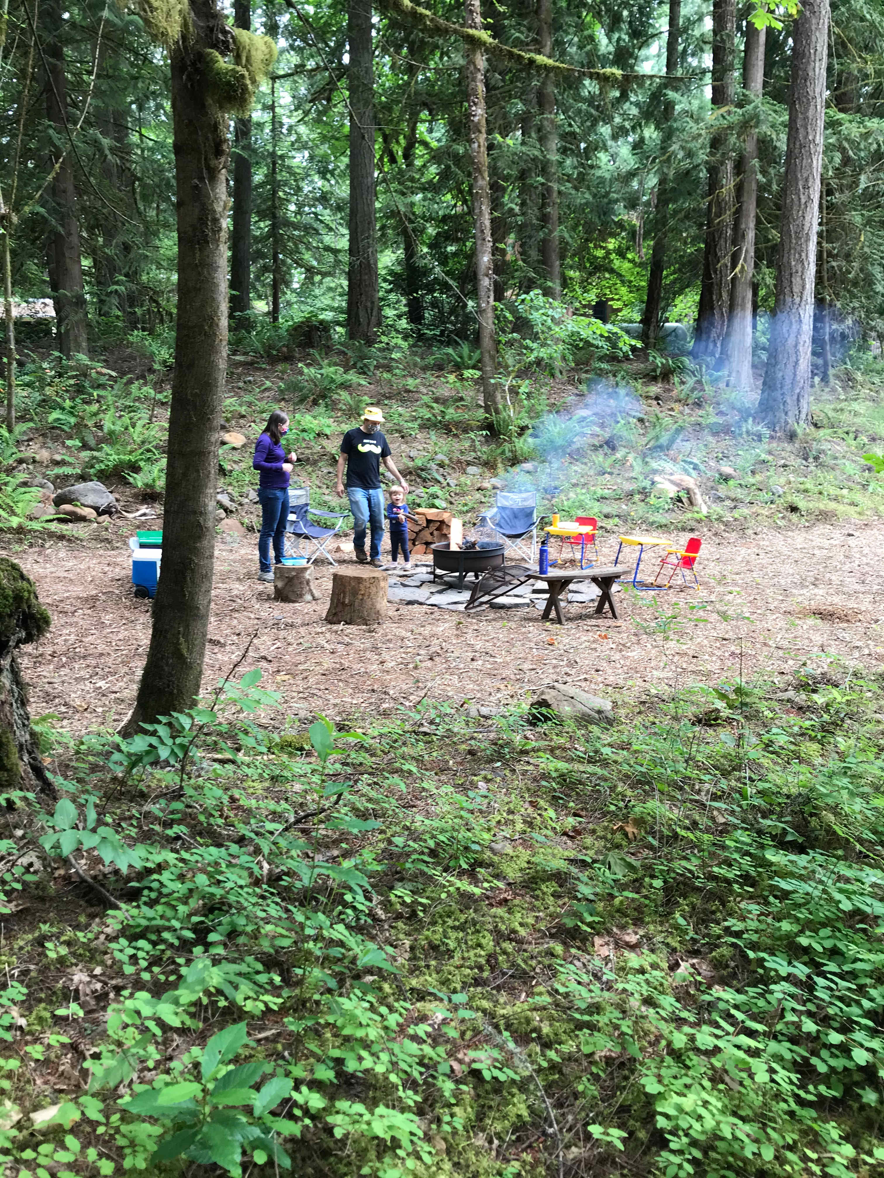 Picture of the site