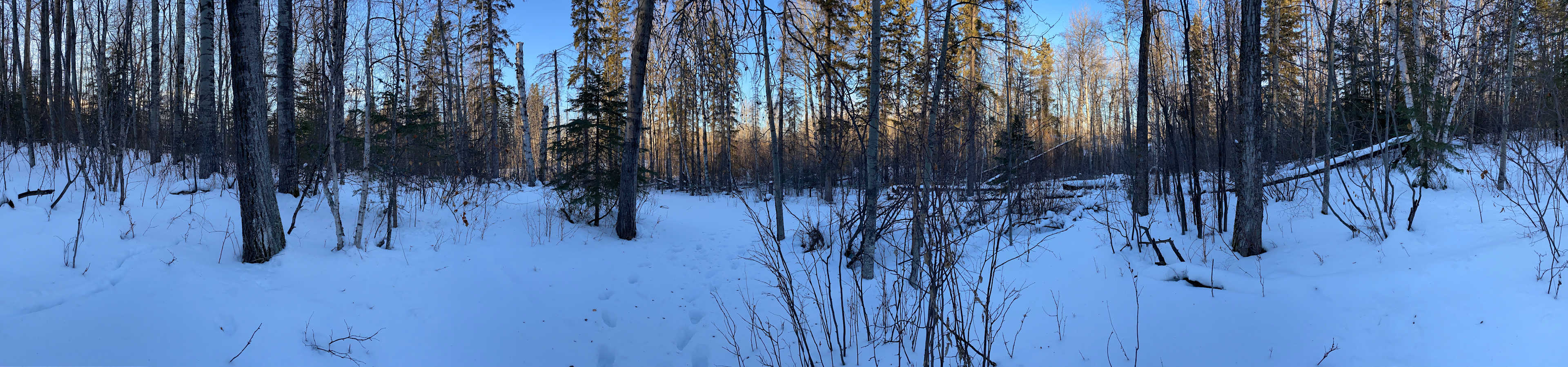 SPRUCE RIDGE AT HEATHER DOWNS