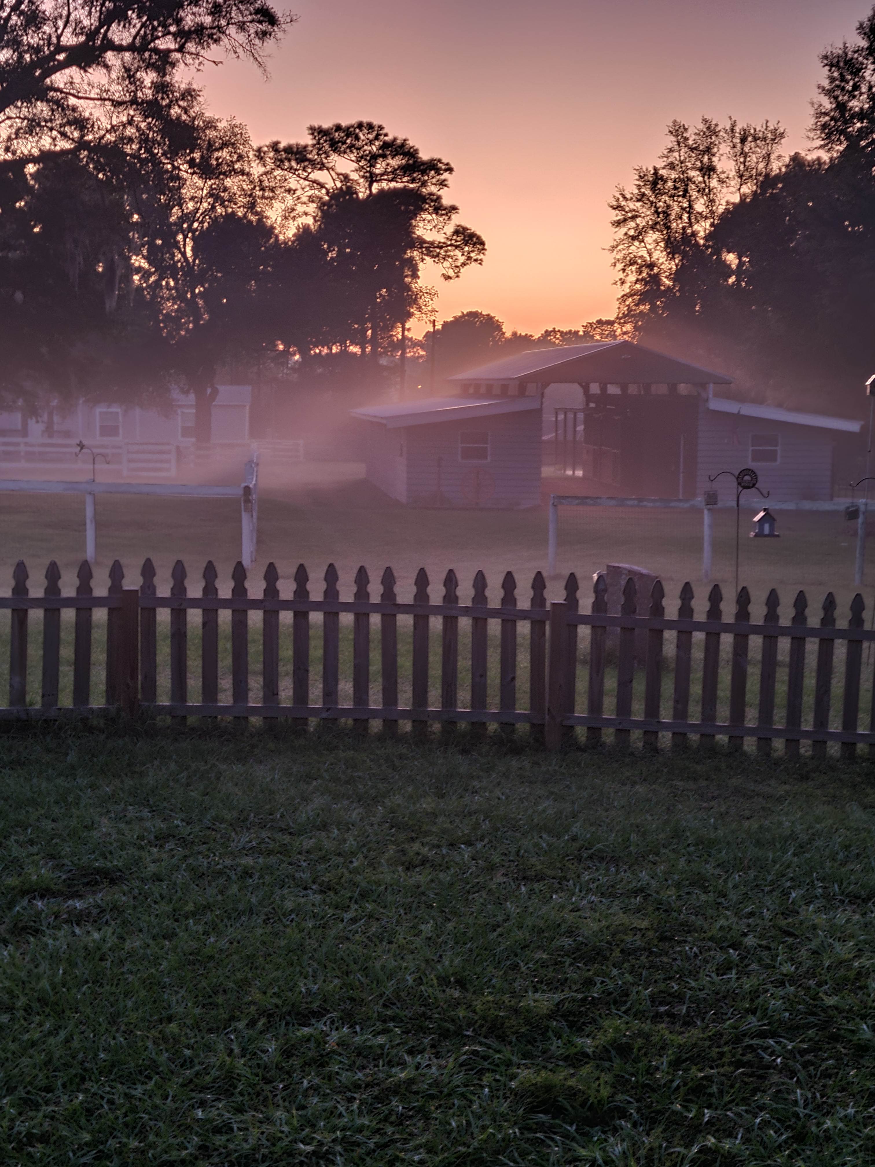 Misty Morning Acres