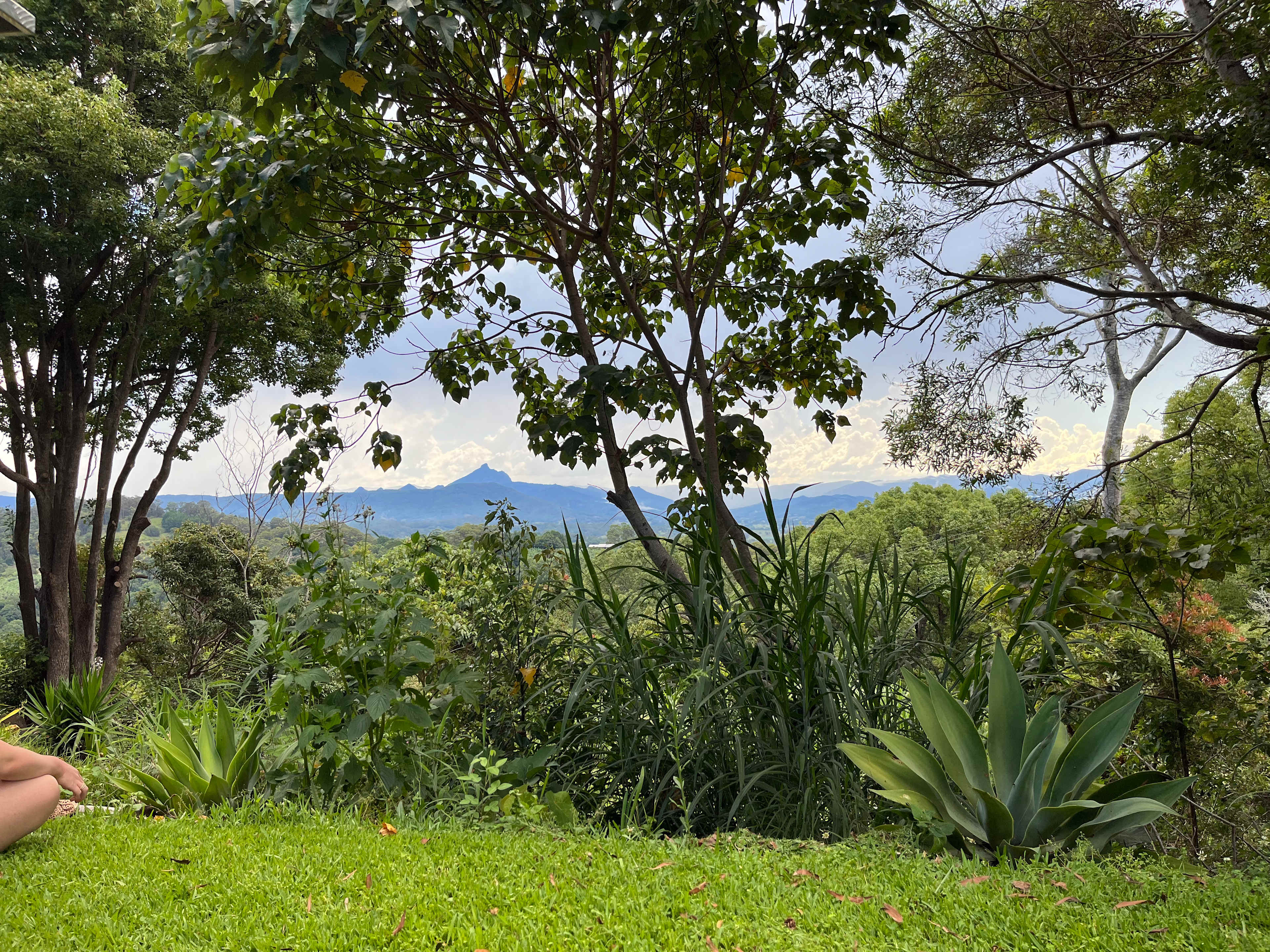 Gold Coast Hinterland Escape