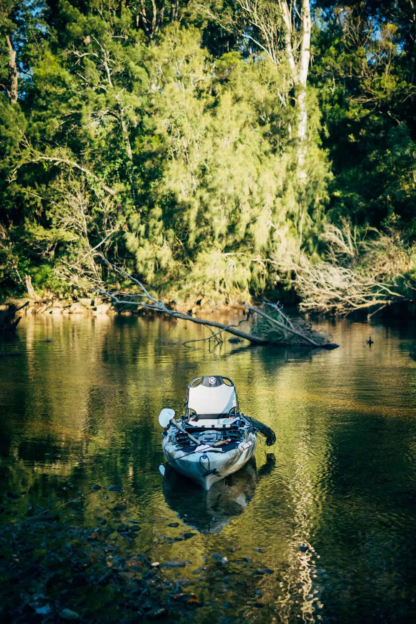 Afternoon well spent paddling and fishing in the river