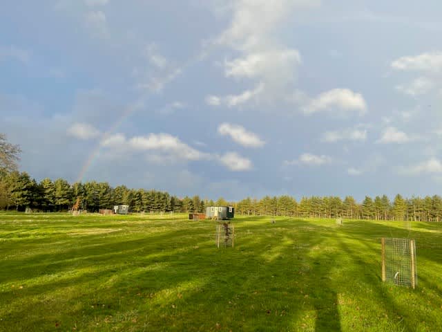 Hendred Farm Huts