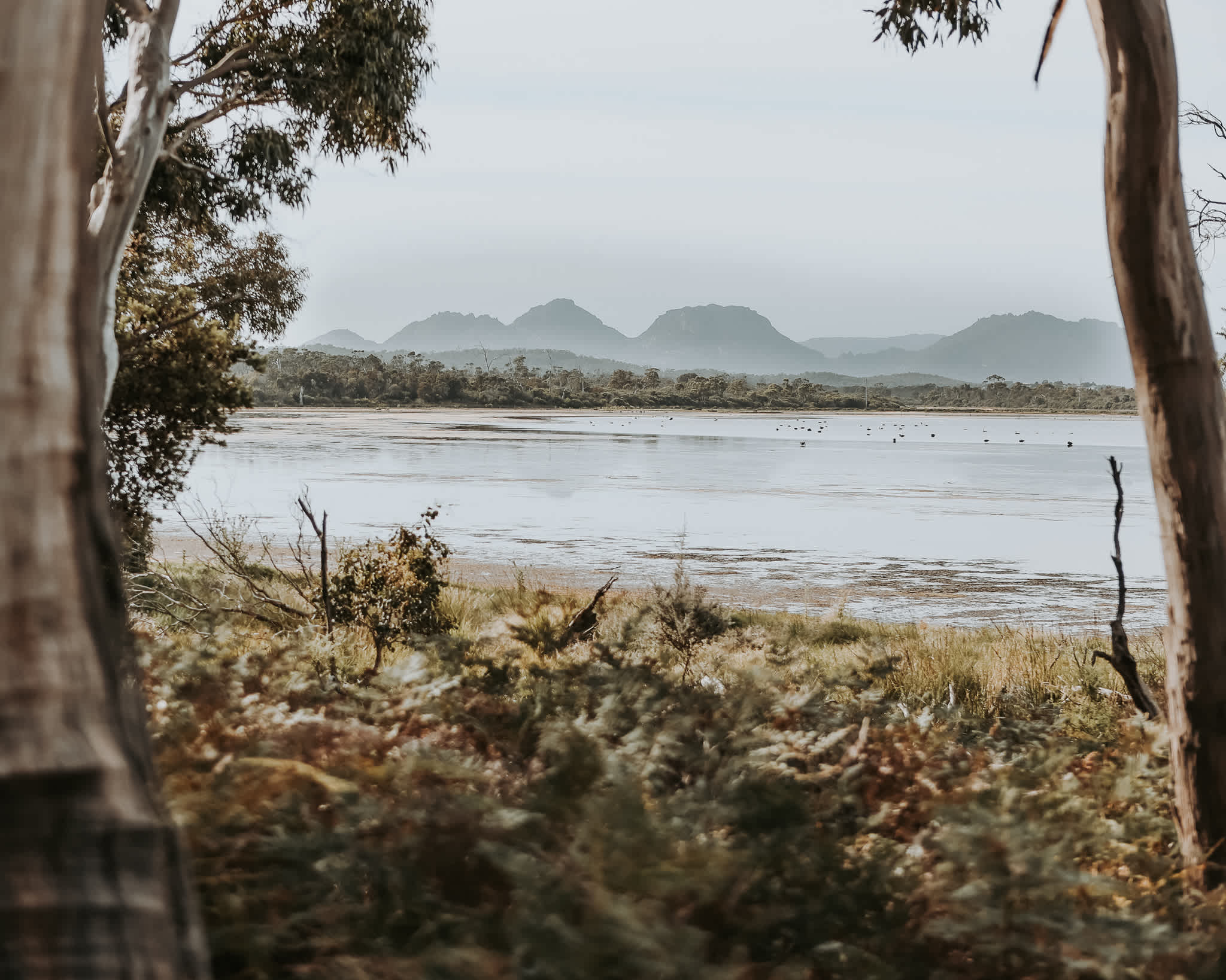 Numie Tasmania