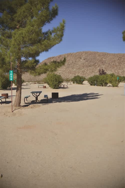 Joshua Tree Lake RV & Campground