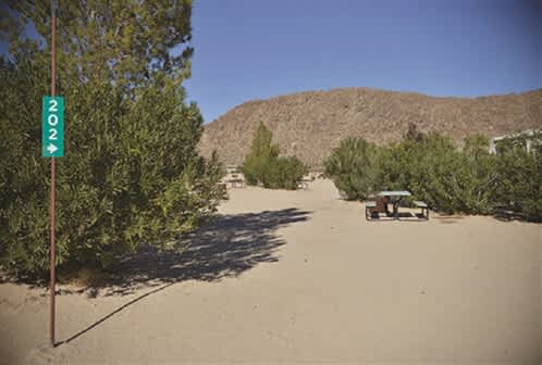 Joshua Tree Lake RV & Campground
