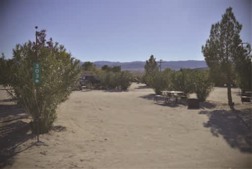 Joshua Tree Lake RV & Campground