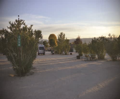 Joshua Tree Lake RV & Campground