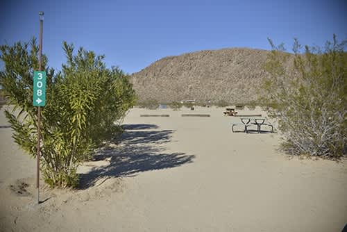 Joshua Tree Lake RV & Campground