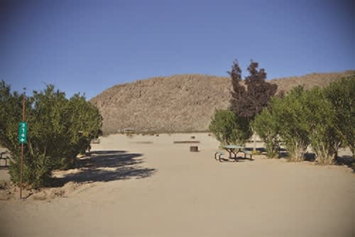 Joshua Tree Lake RV & Campground