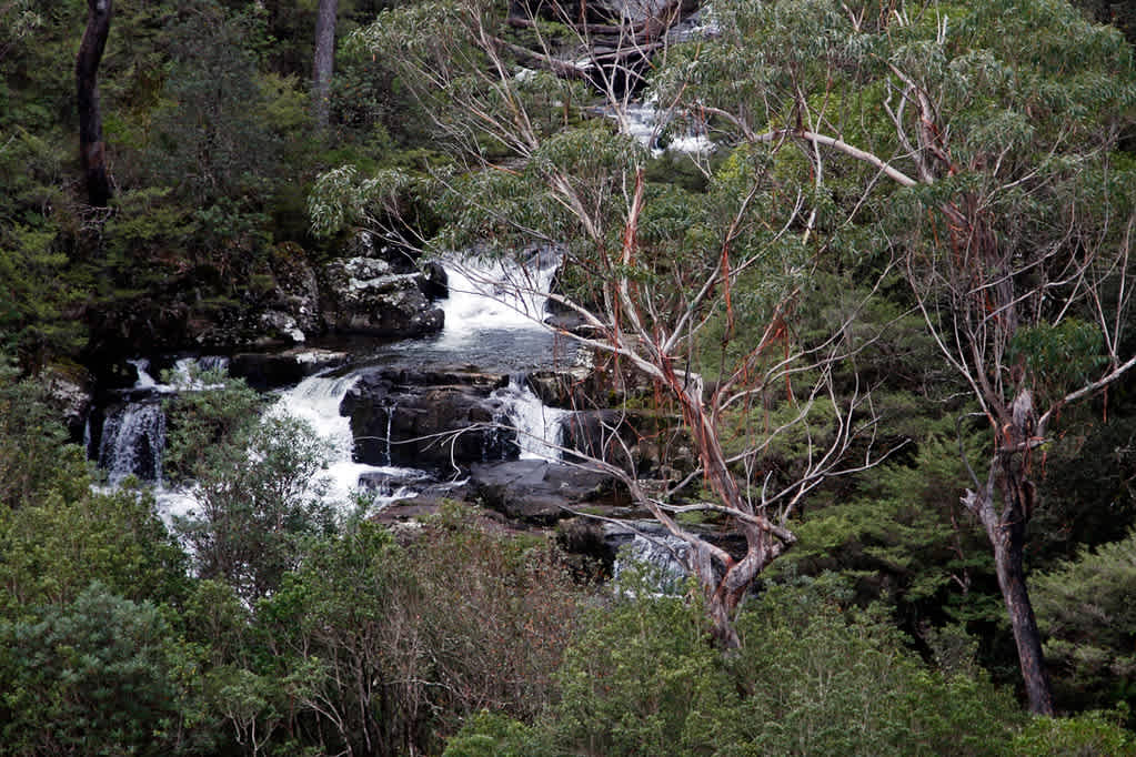 Gloucester Falls