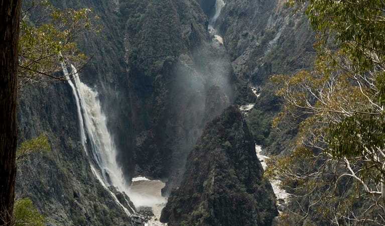 Wollomombi Falls