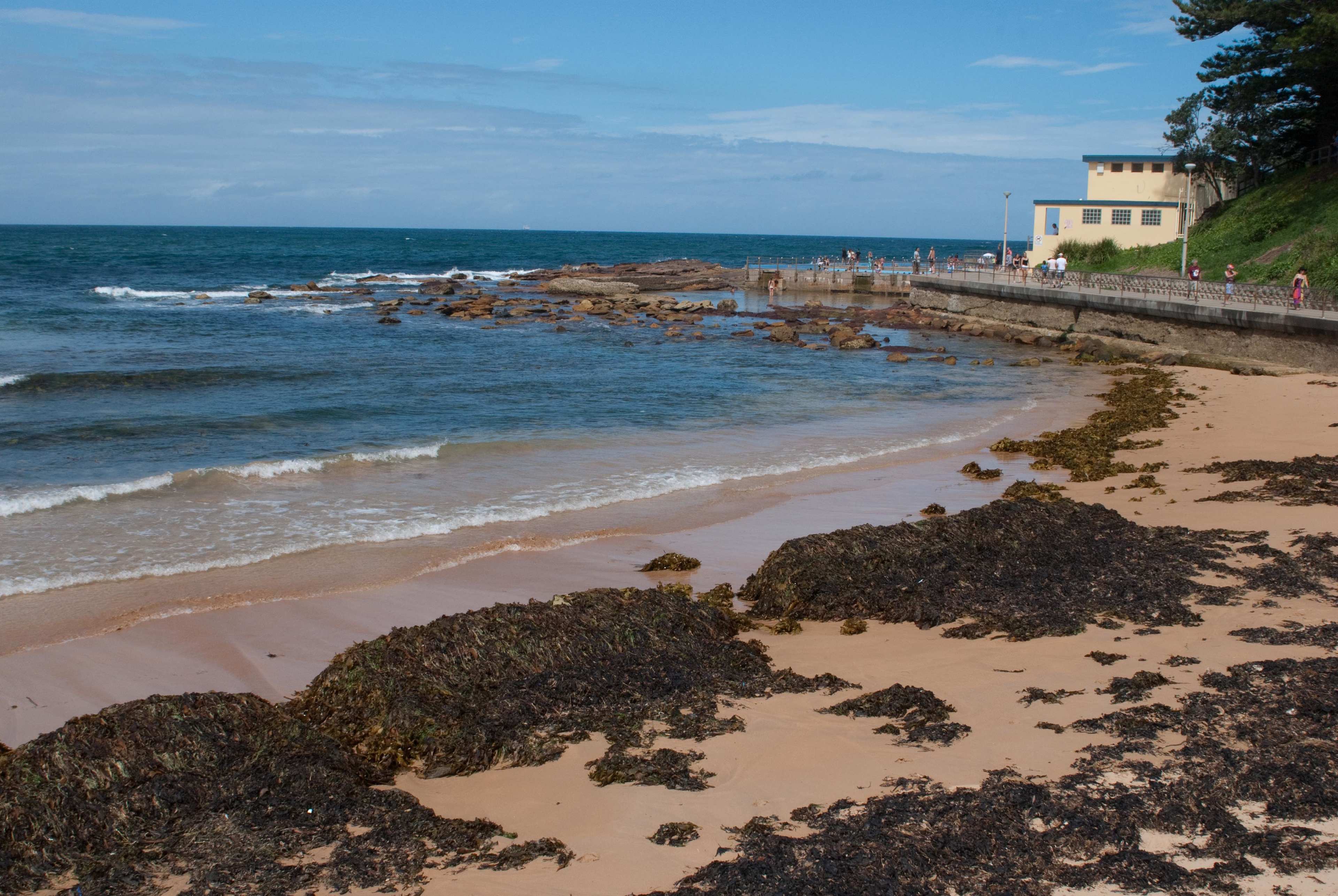 North Shore Beach
