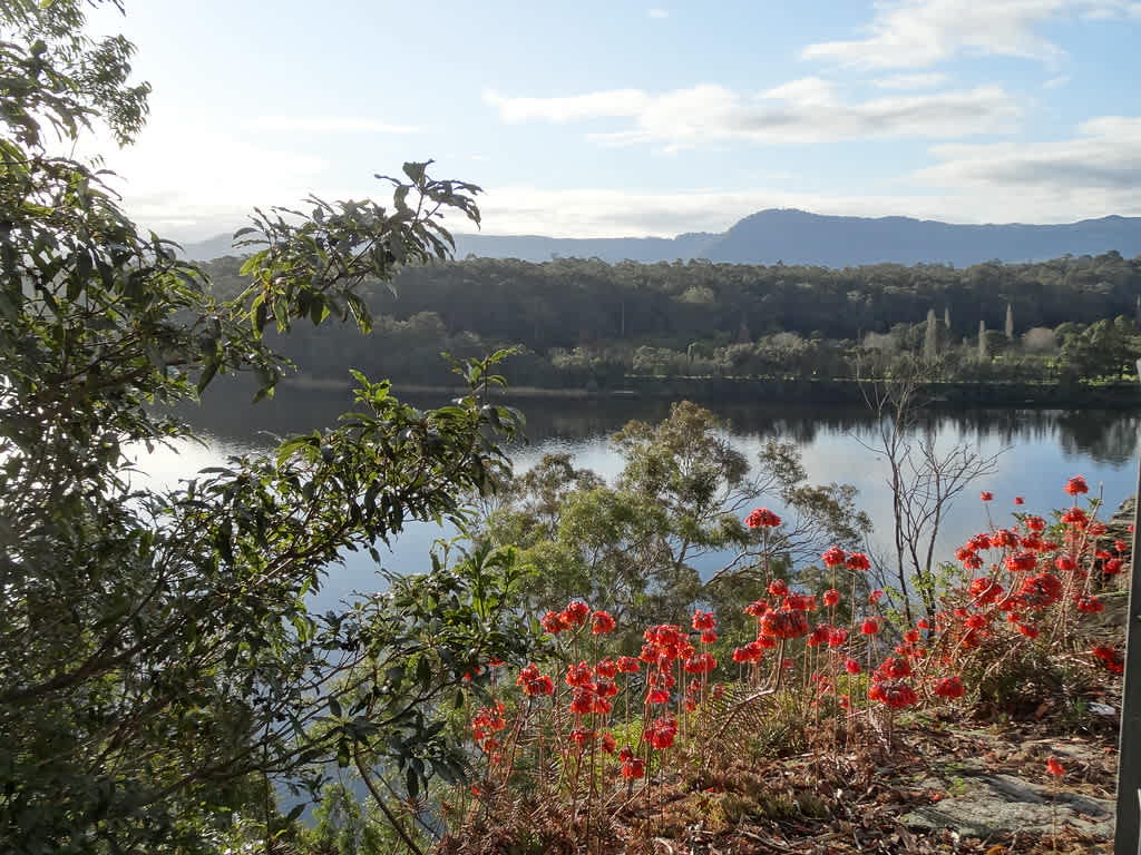 Nowra Showground