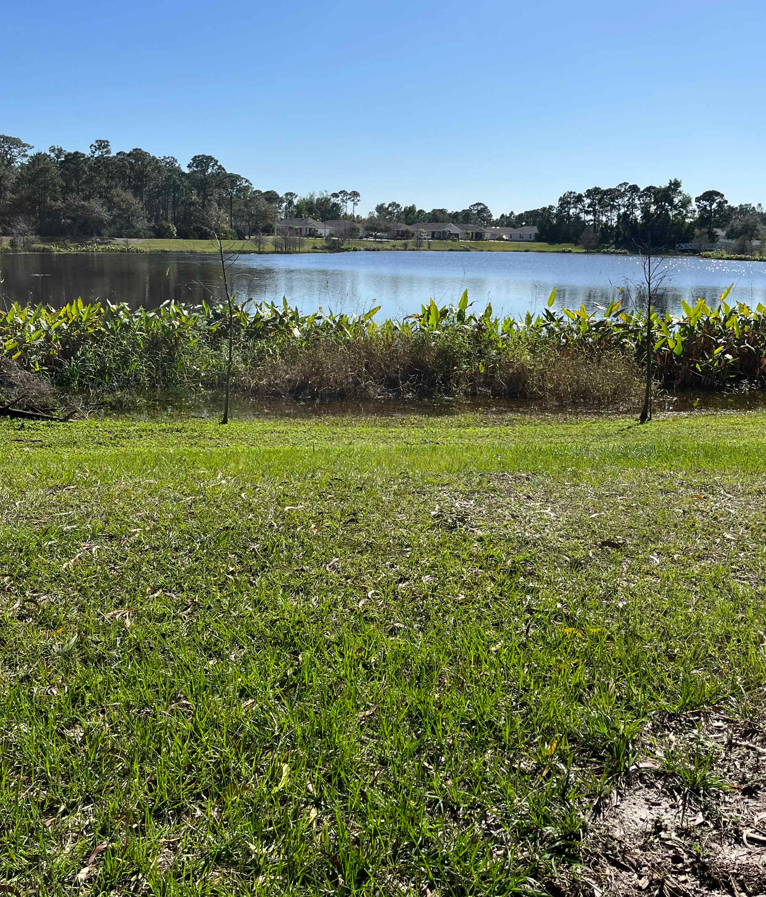 County Lake is just beyond the campsite. Walking bridges and natural pathway allows a beautiful, serene, and partially shaded walk around the Lake. Catch and Release Fishing is permitted here. 