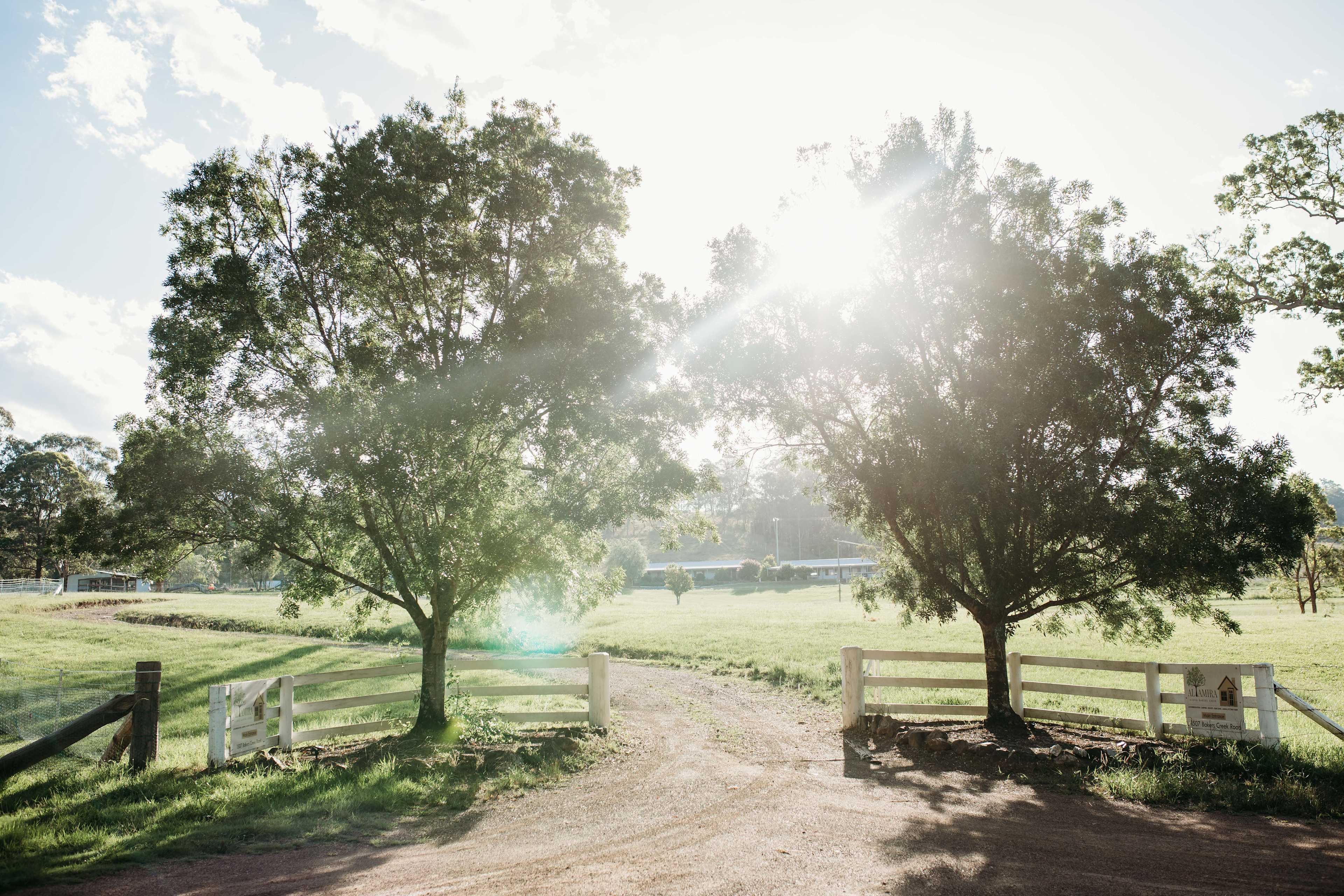 Altamira Along Bakers Creek