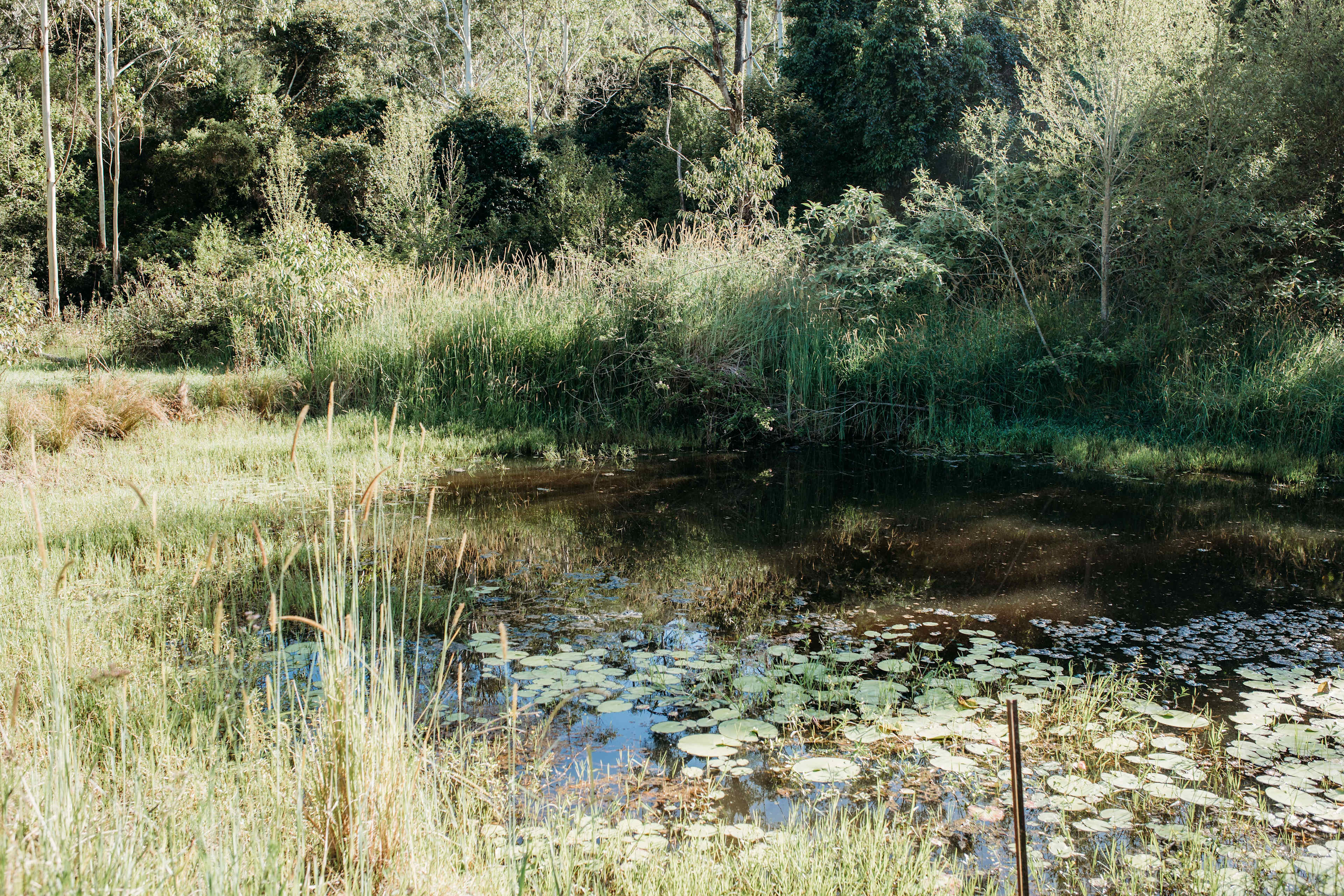Mimi Valley, Krambach