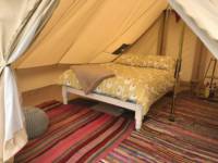 Springfield Farm Campsite