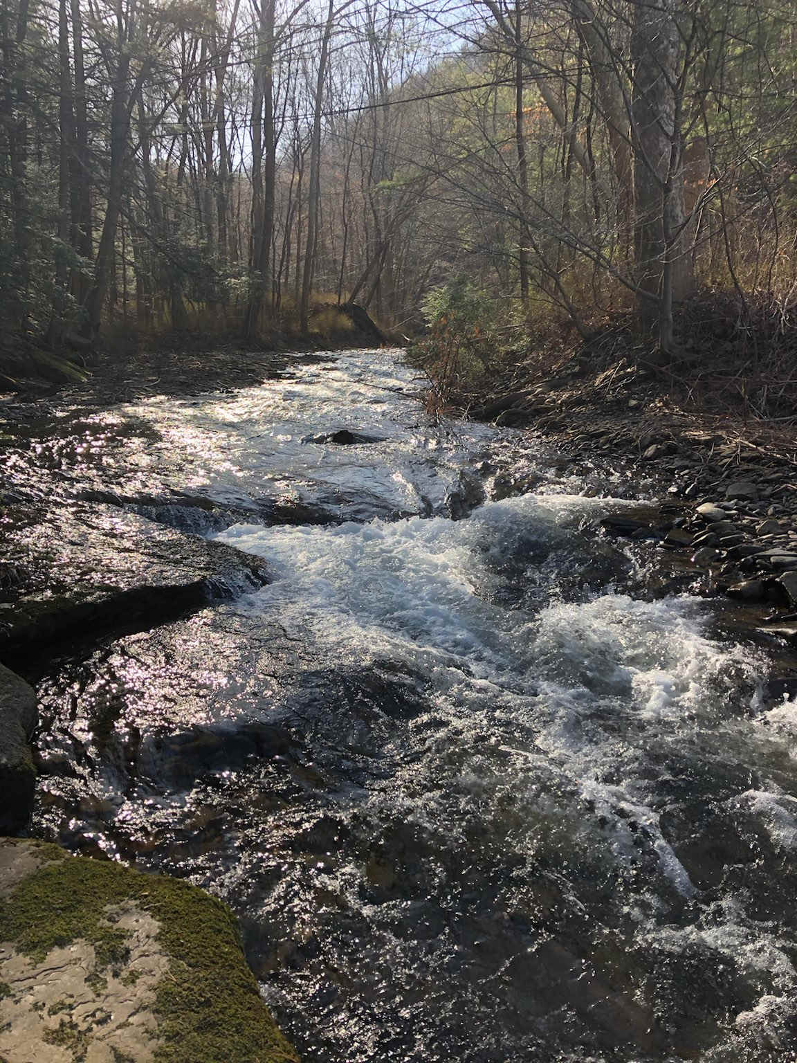Camp Skipping Rock on Pine Creek