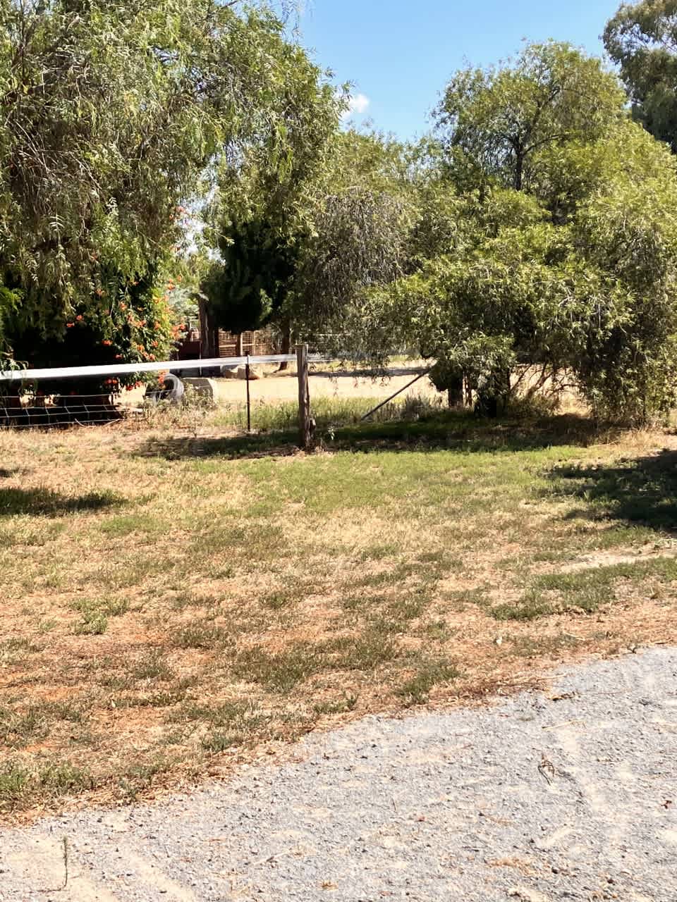 Site 1 Powered Caravan