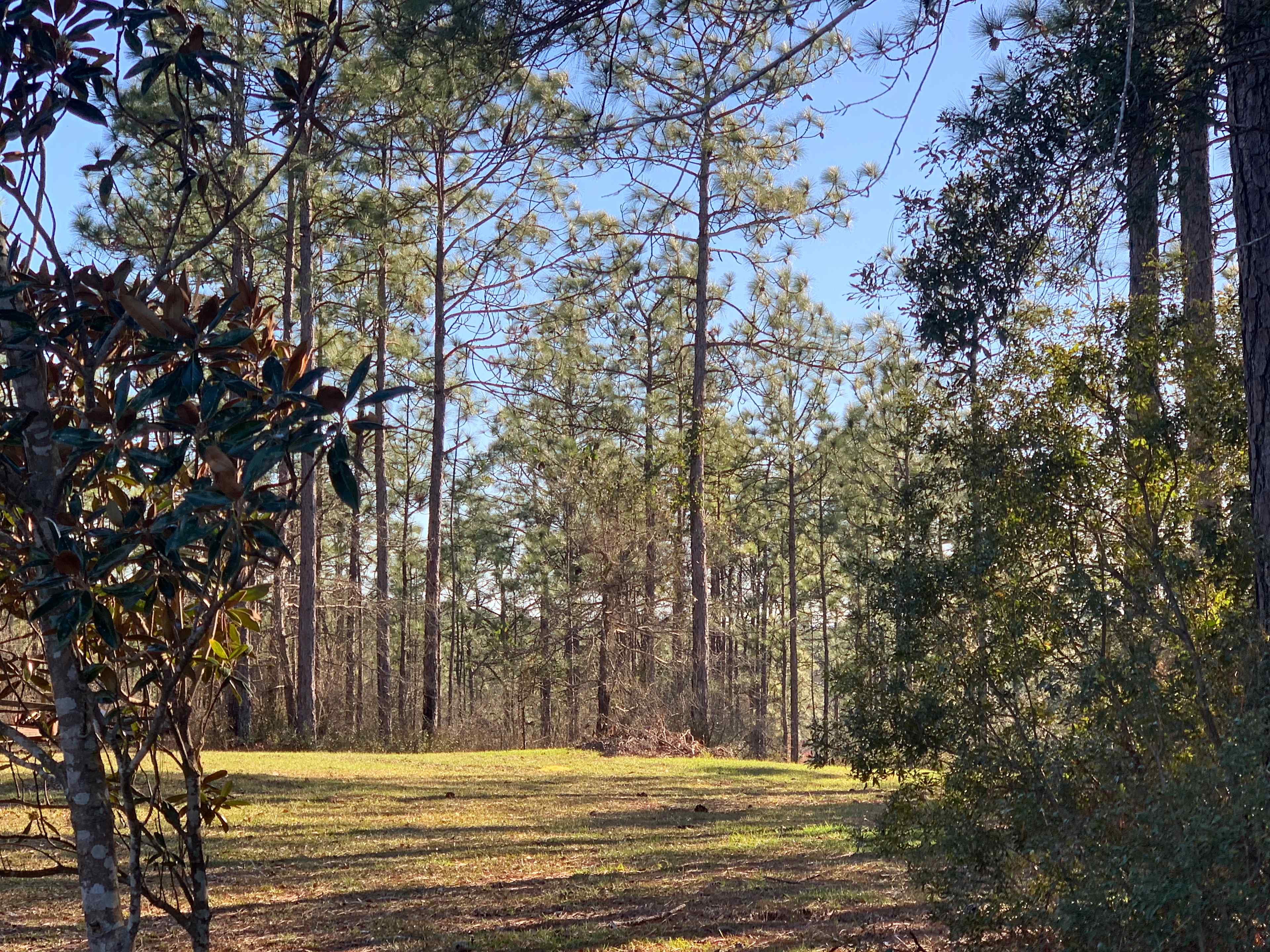 Heart of the Country