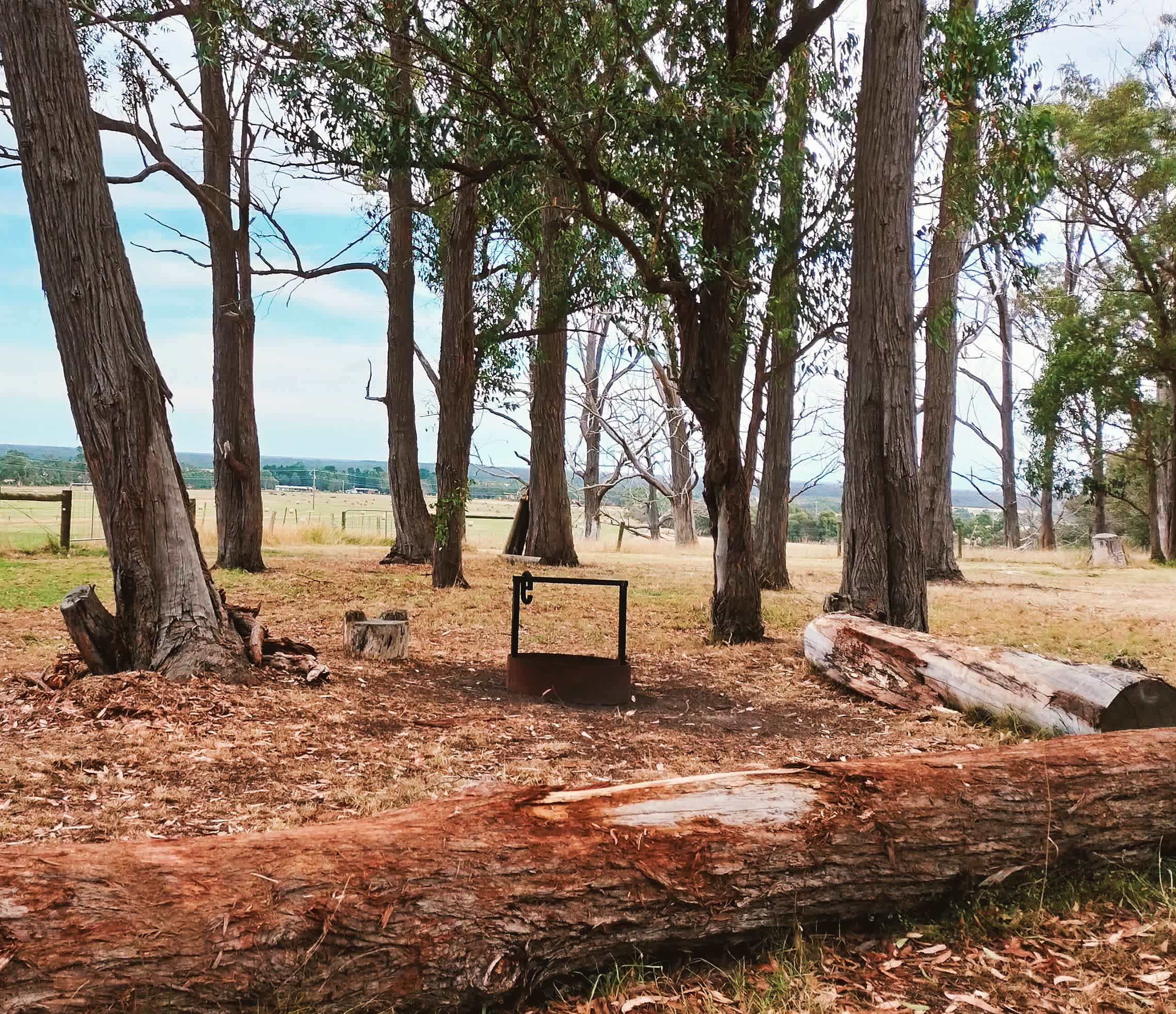 Communal fire pit.