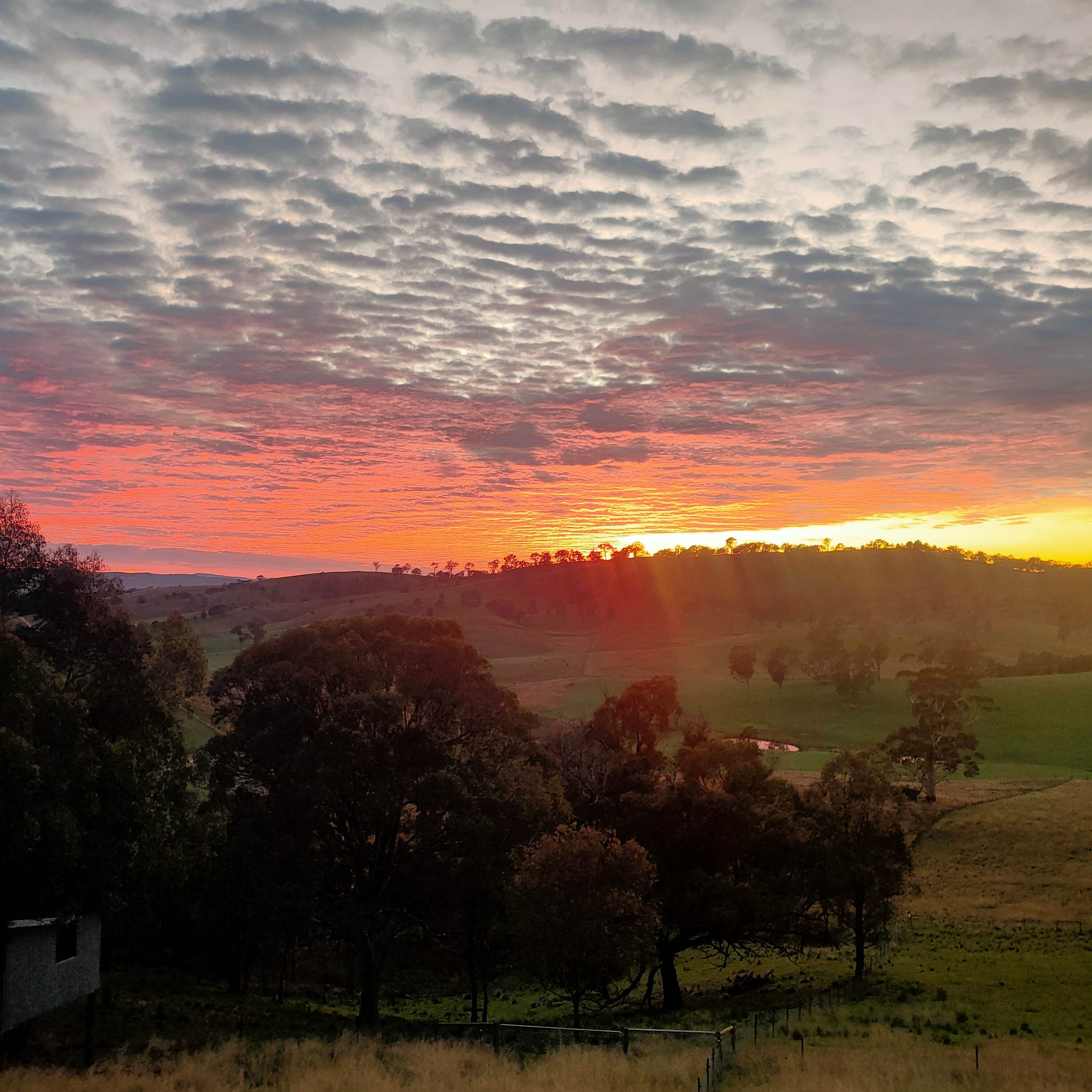 One of our stunning sunset 