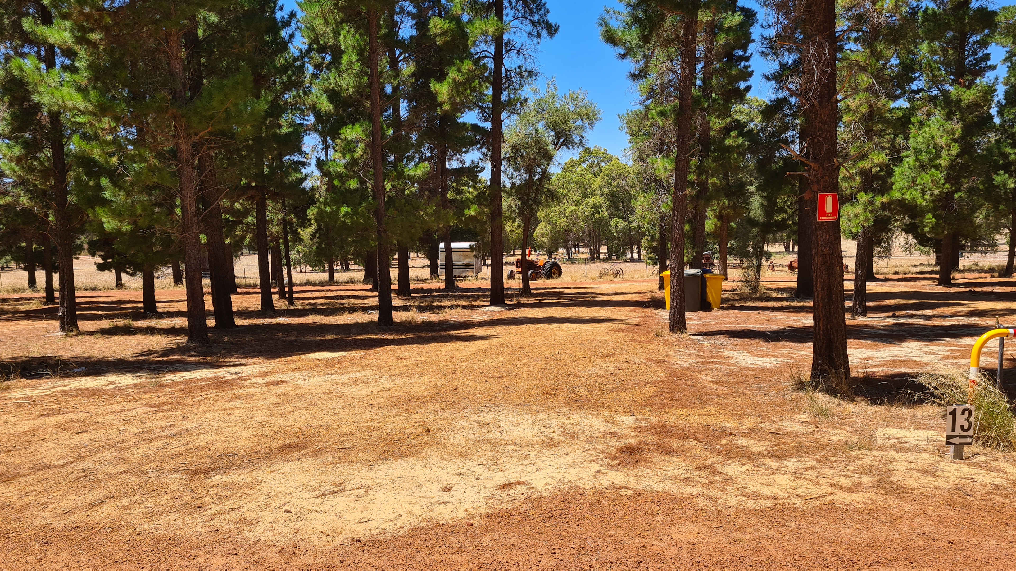 Little Eeden Farm Pine Camp