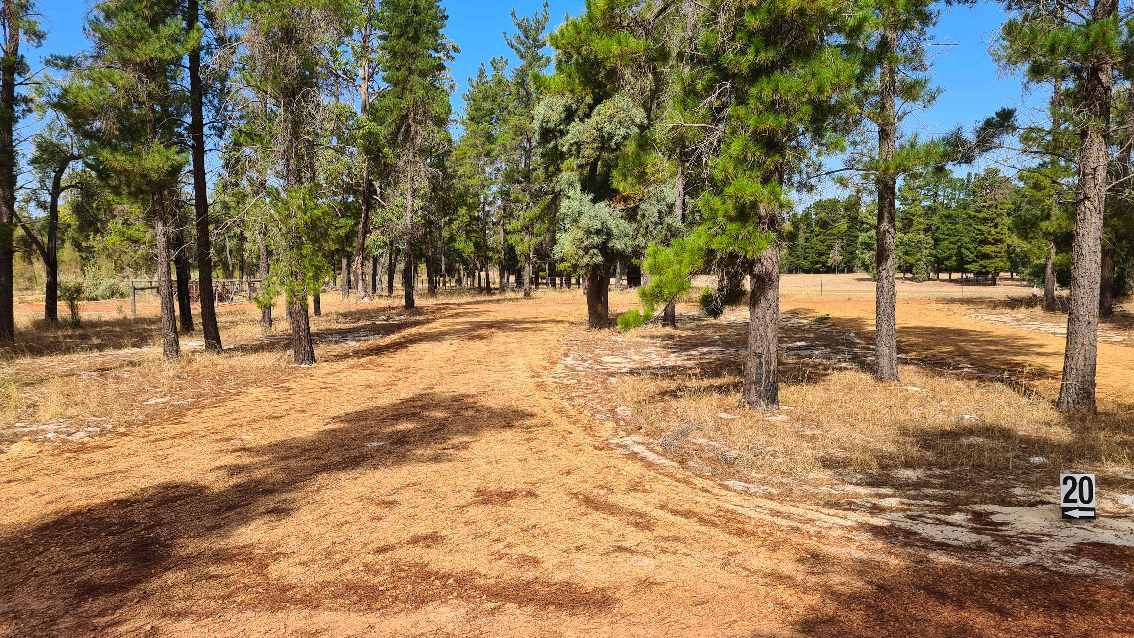 Little Eeden Farm Pine Camp